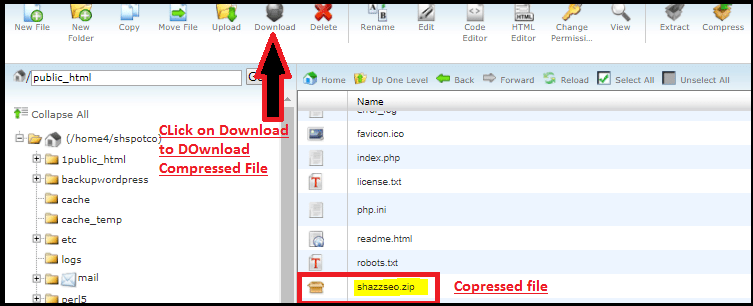 Download zip file