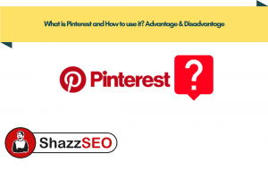 What is Pinterest in 2025 and How to use it? Advantage & Disadvantage