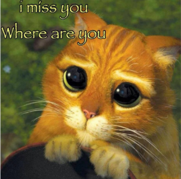 I miss you best funny meme