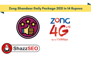 Zong Shandaar Daily Package 2025 in 14 Rupees