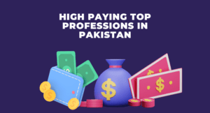 top professions in Pakistan