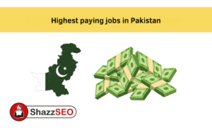 Which Are The Top 10 Highest Paying Jobs In Pakistan In 2025